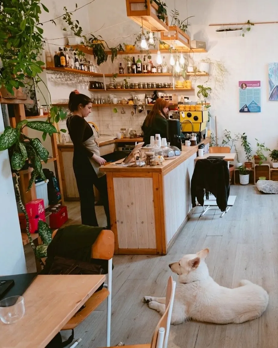 Café Buchta B